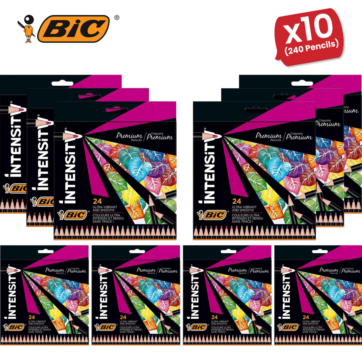 BIC Intensity Colouring Pencils In Premium Cardboard Case Suitable for Adults 24