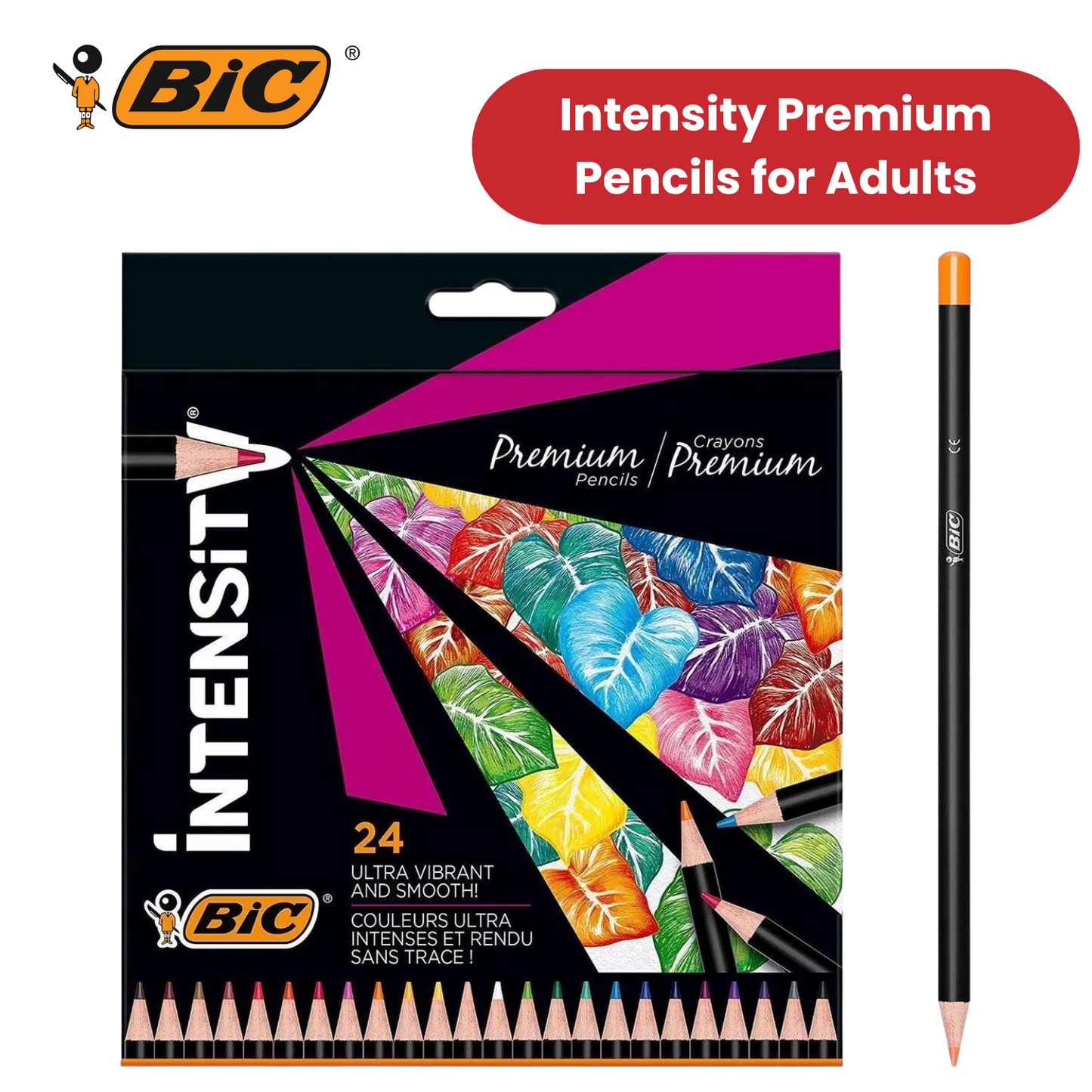 BIC Intensity Colouring Pencils In Premium Cardboard Case Suitable for Adults 24
