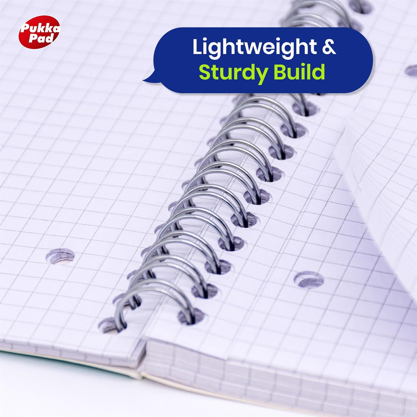 Pukka Pad A4 Metallic Squared 200 Page Notebook with Free Zebra Ballpoint
