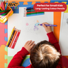 BIC Kids Evolution Triangle ECOlutions Colouring Pencils Assorted - Pack of 12