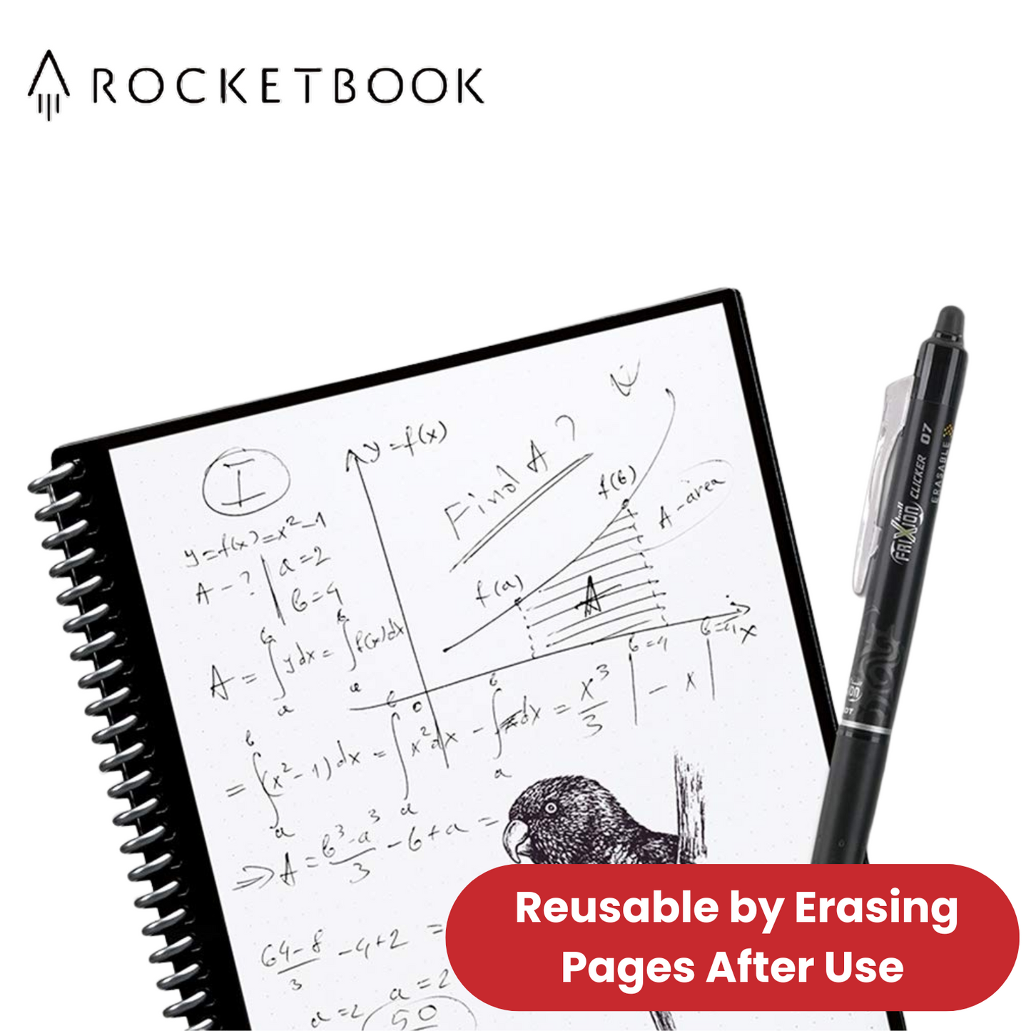 Rocketbook Core A4 Letter - Dotted Paper - TEAL