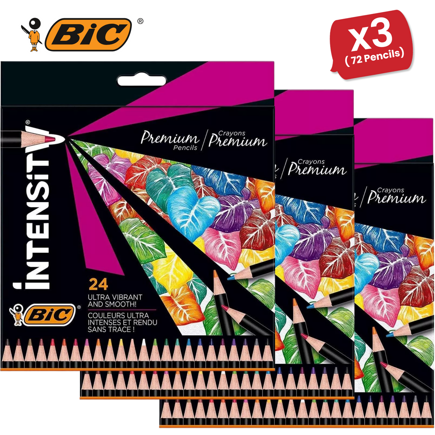 BIC Intensity Colouring Pencils In Premium Cardboard Case Suitable for Adults 24