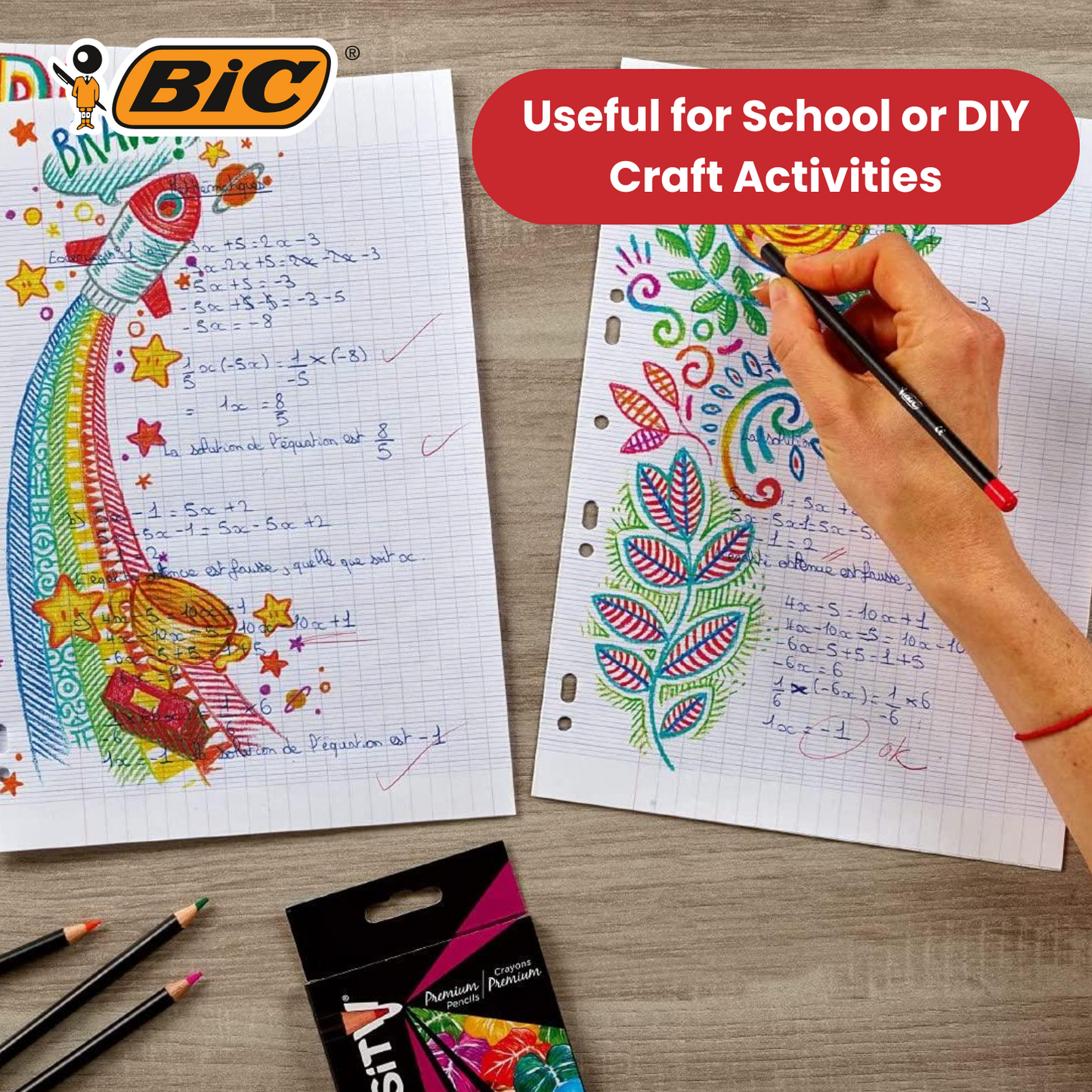 BIC Intensity Colouring Pencils In Premium Cardboard Case Suitable for Adults 24