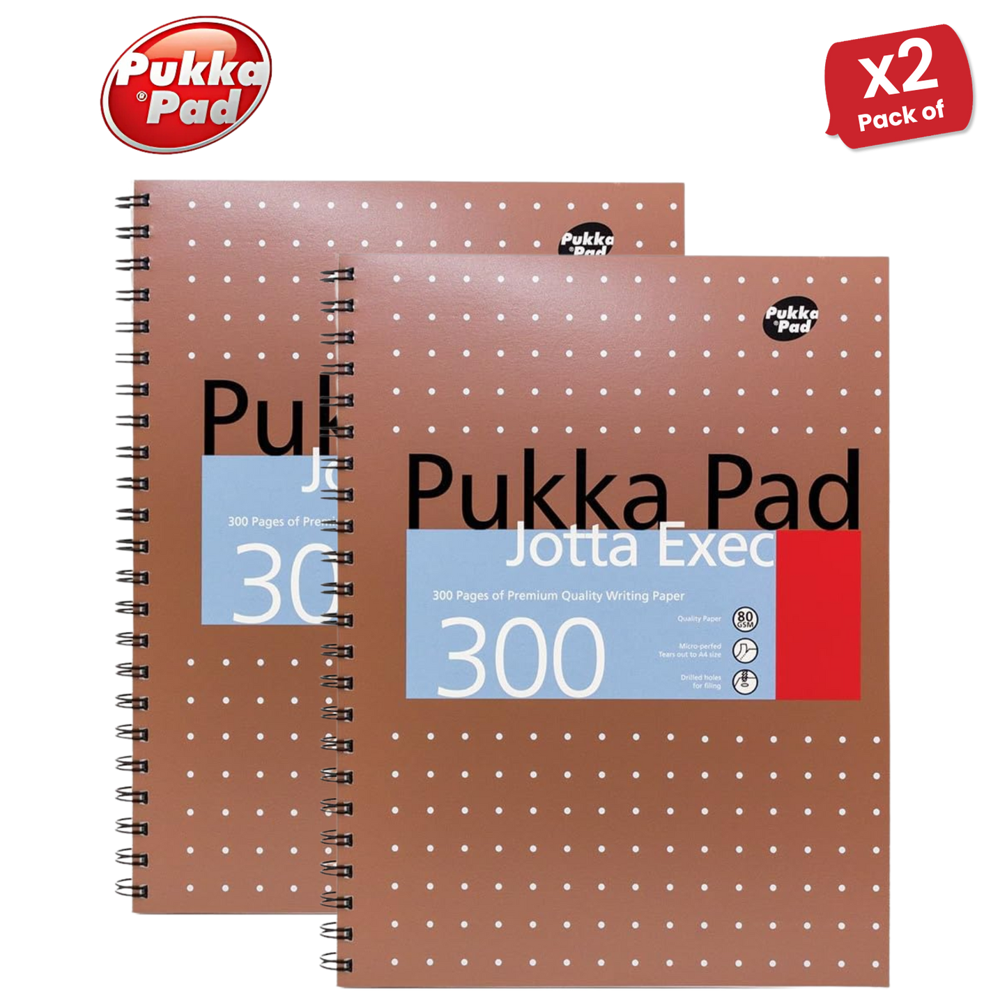 Pukka A4 300 page Metallic jotta - Lined Pack of 1