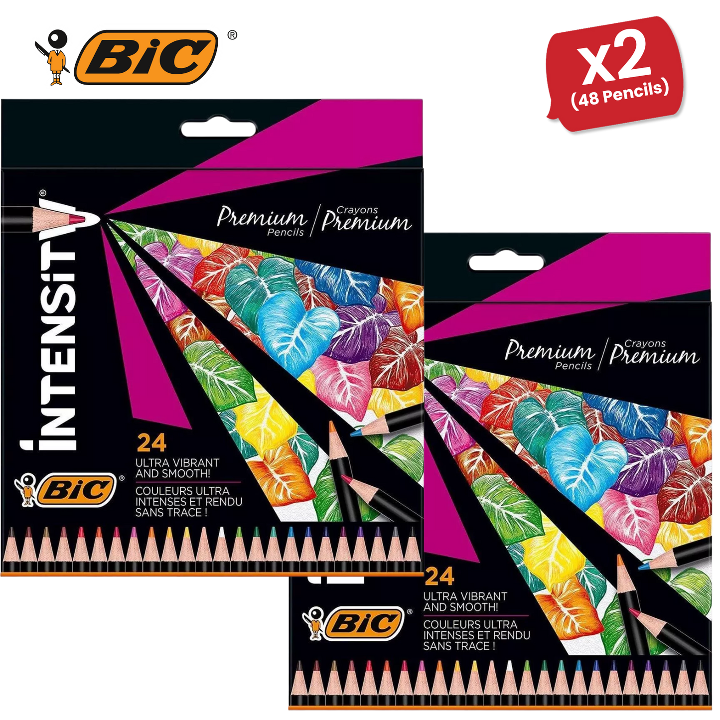 BIC Intensity Colouring Pencils In Premium Cardboard Case Suitable for Adults 24