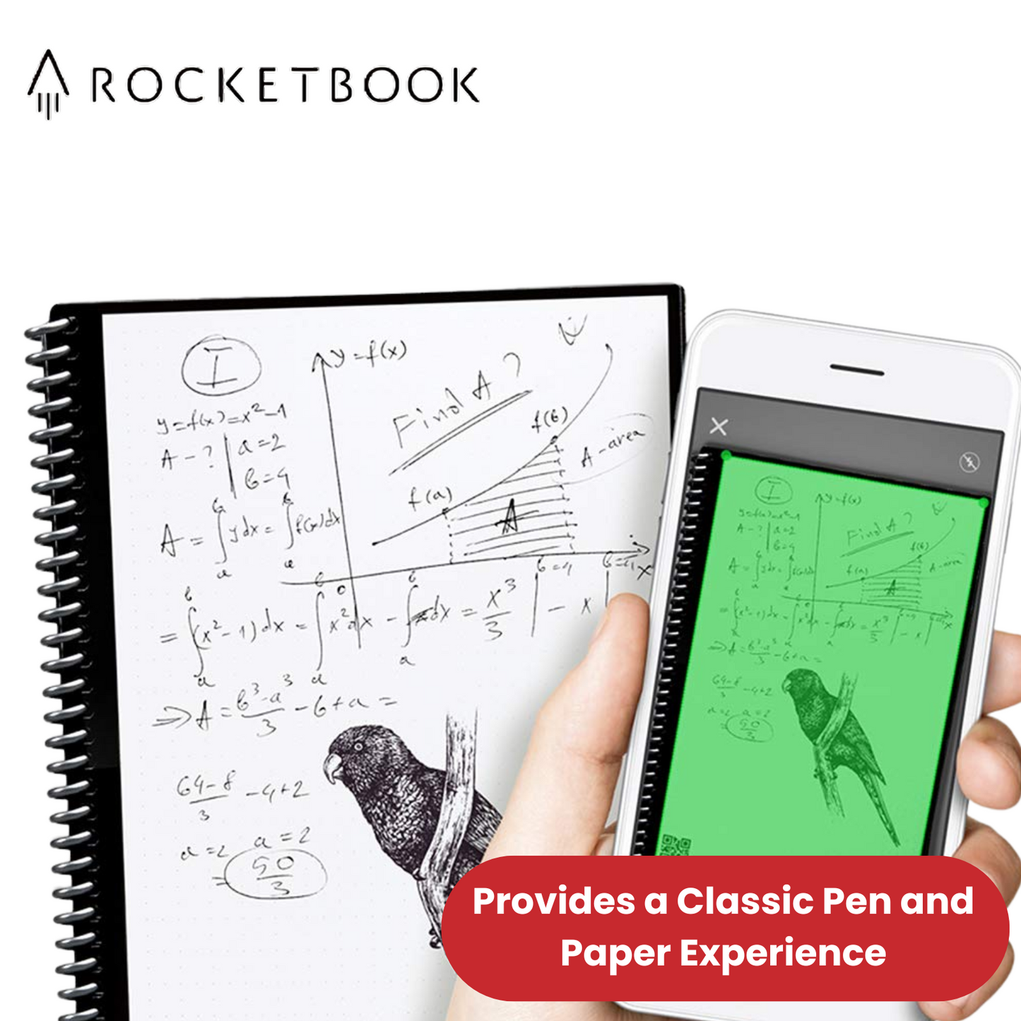Rocketbook Core A4 Letter - Dotted Paper - TEAL