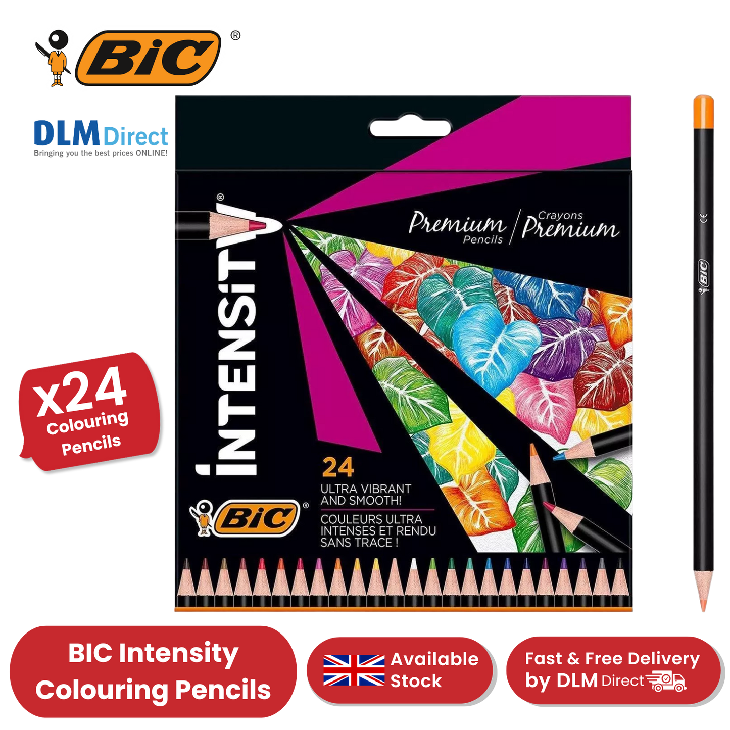 BIC Intensity Colouring Pencils In Premium Cardboard Case Suitable for Adults 24