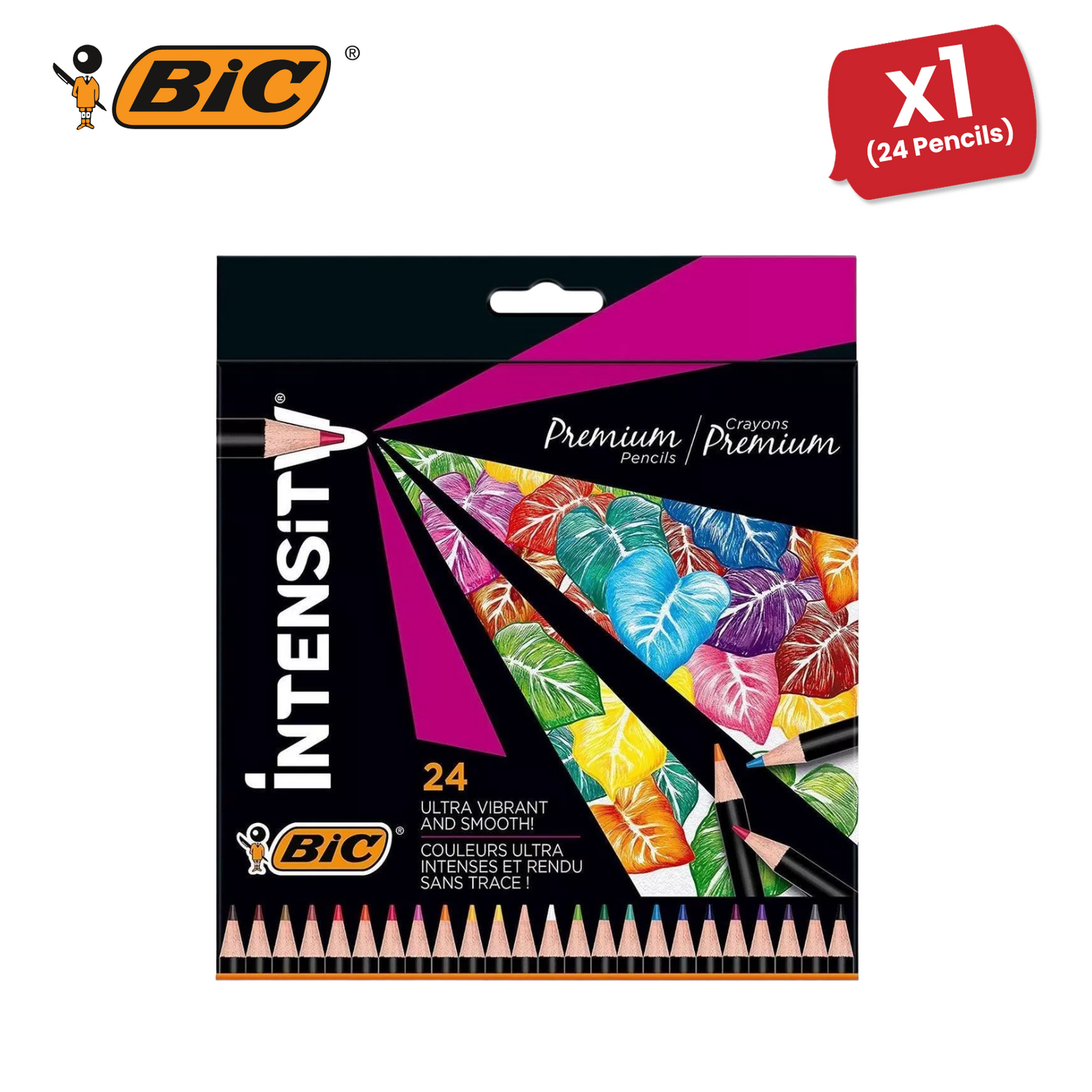 BIC Intensity Colouring Pencils In Premium Cardboard Case Suitable for Adults 24
