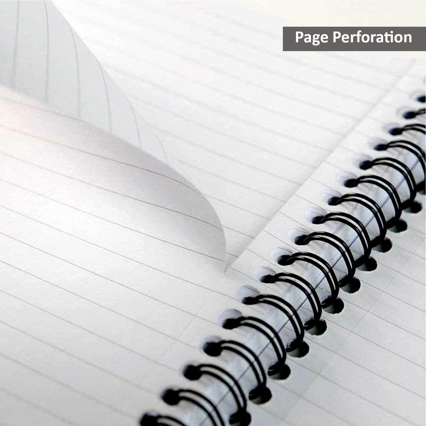 PUKKA WHITE A4 WIREBOUND PROJECT BOOK (RULED/MARGIN) - PACK OF 1