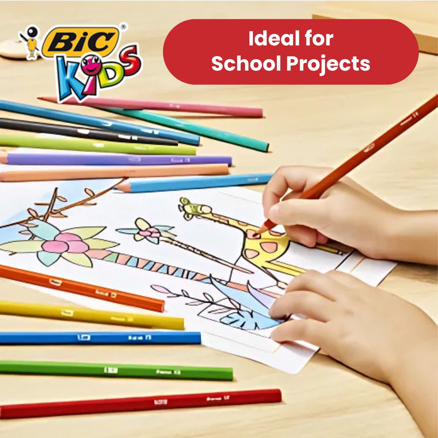 BIC Kids Tropicolors 2 Colouring Pencils Assorted - Pack of 18 - 1 to 5 Packs