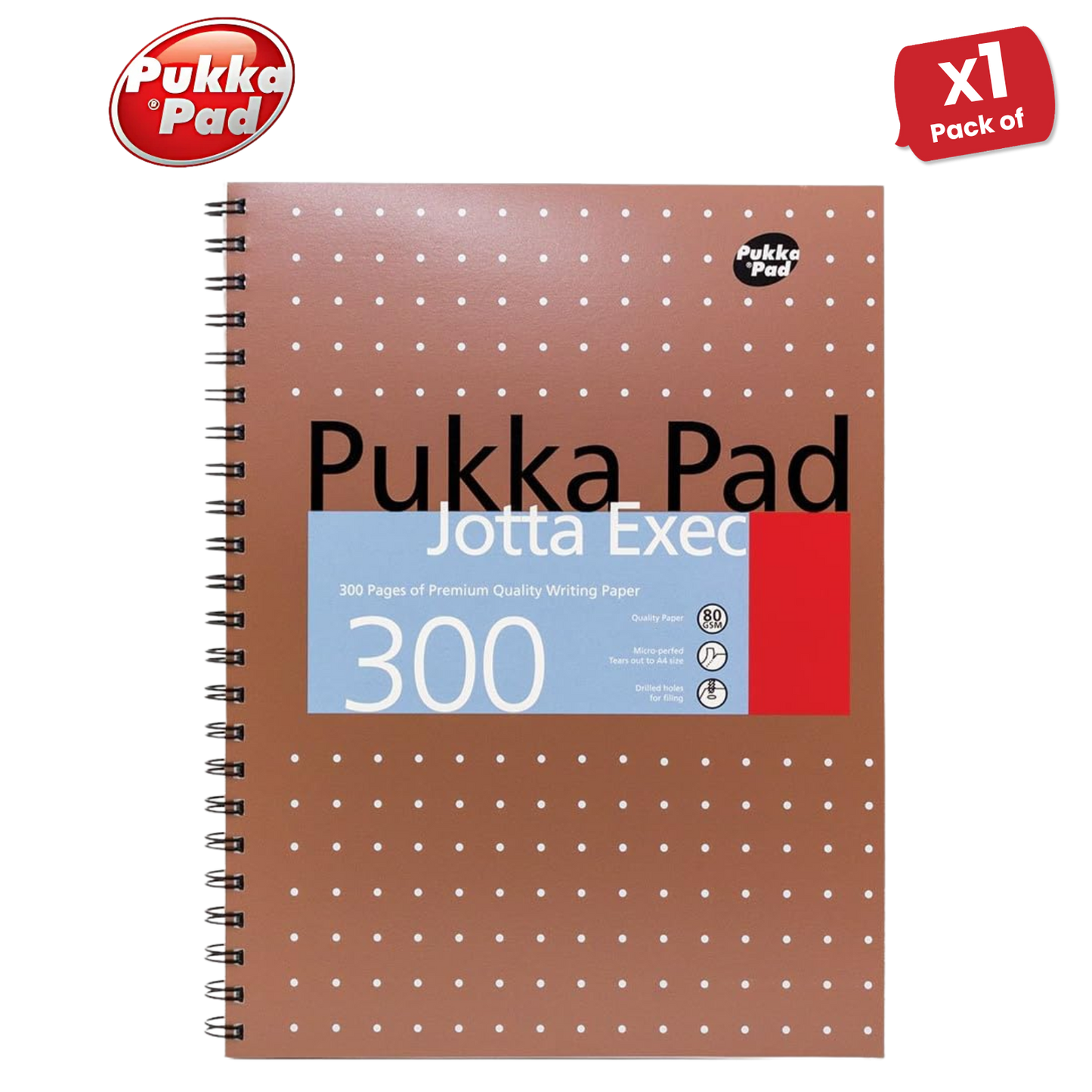 Pukka A4 300 page Metallic jotta - Lined Pack of 1