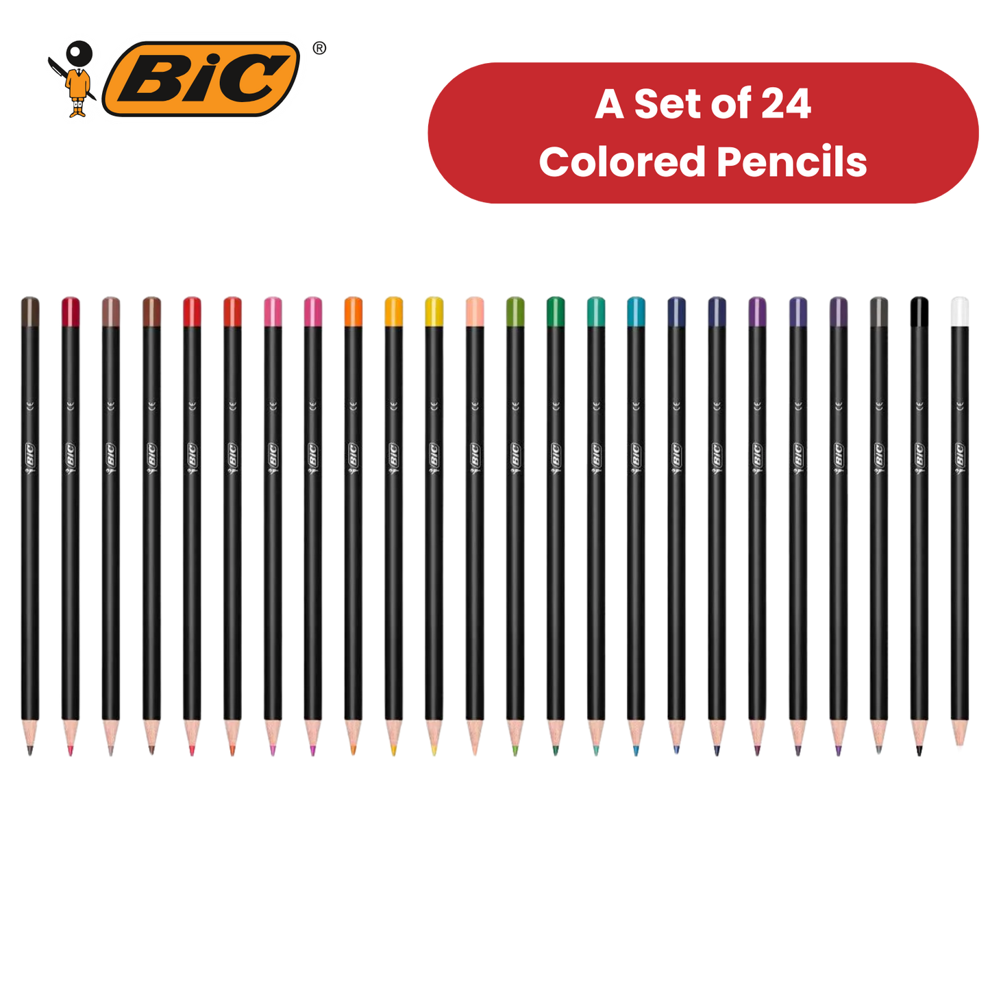 BIC Intensity Colouring Pencils In Premium Cardboard Case Suitable for Adults 24