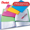 PENTEL RECYCOLOGY DISP BK VIV 30PKT YLW - Pack of 1