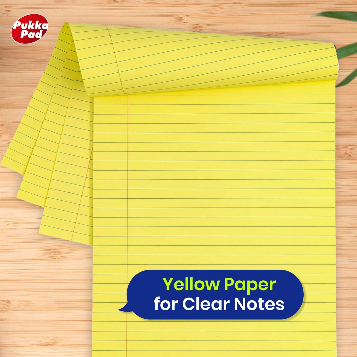 BIC 2300 Permanent Markers Pack of 3 & Pukka Pad A4 Notepads 3Pack, Complete Study Kit