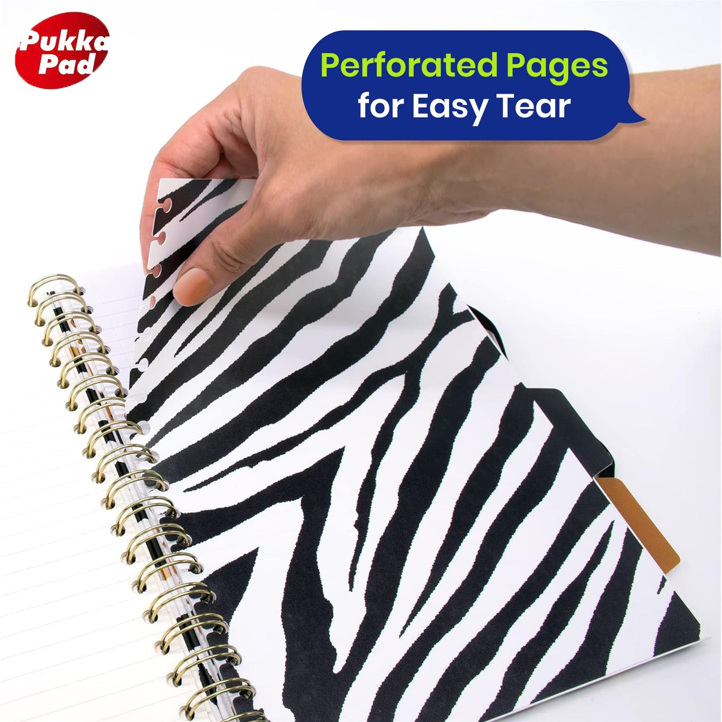 Pukka Pad Wild B5 Project Notebooks – 4 Repositionable Dividers & Hard Cover 2 Pack  NoteBooks For Projects