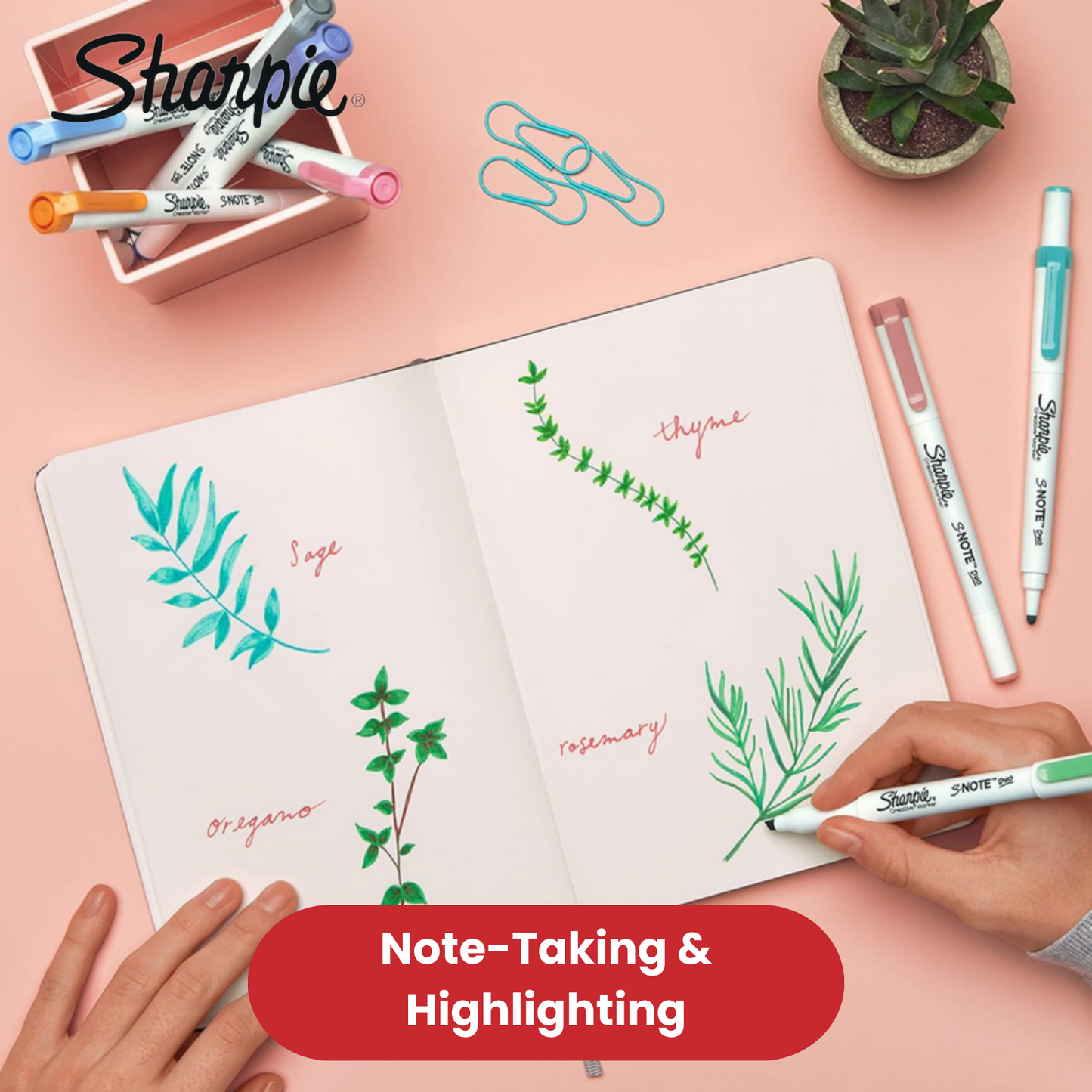 Sharpie S Note Duo Twin Tip Asst PK16