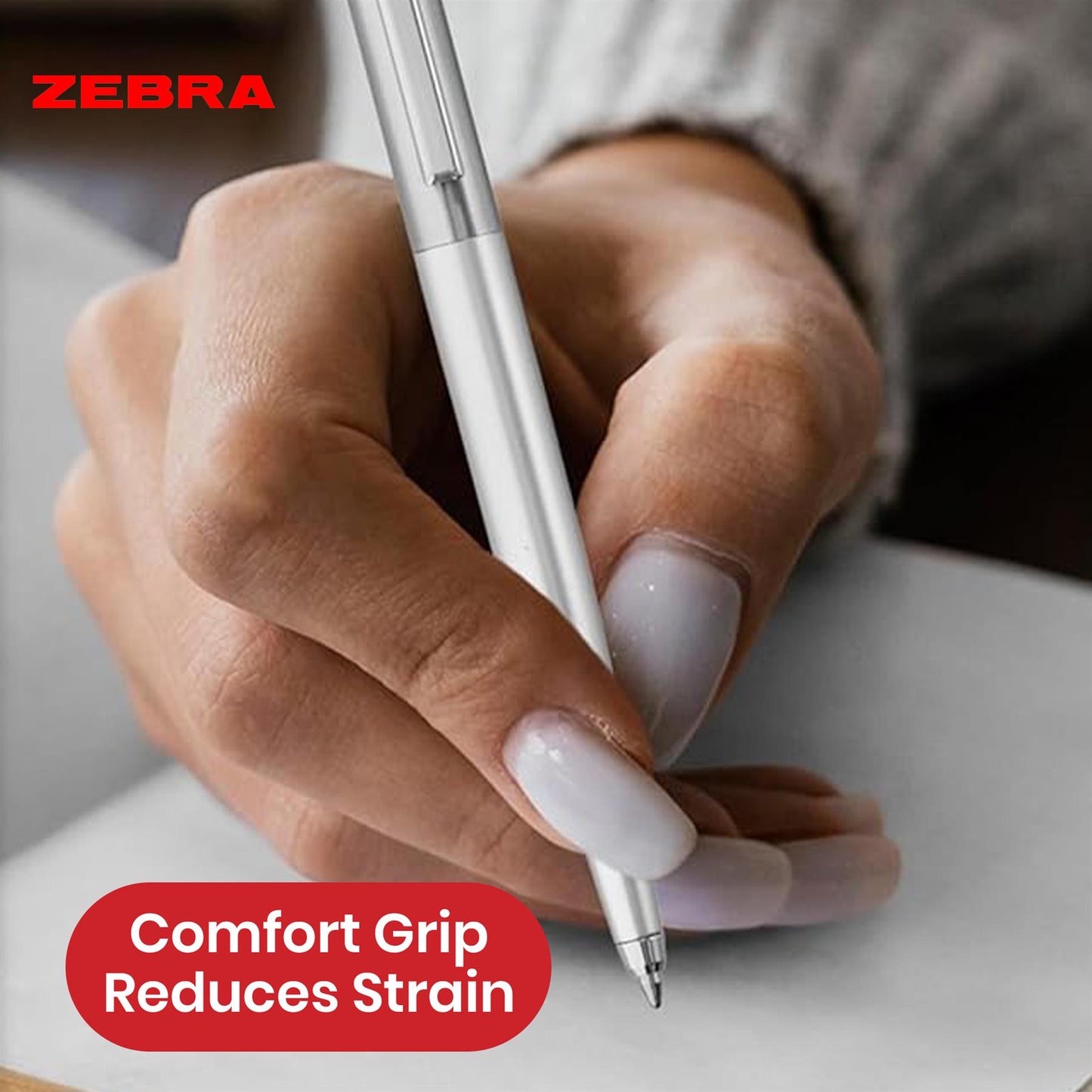 Zebra Ballpoint, Stainless Steel Retractable Pen Refillable Fine Point Biro for Presentation, Meeting & Assignments-Silver