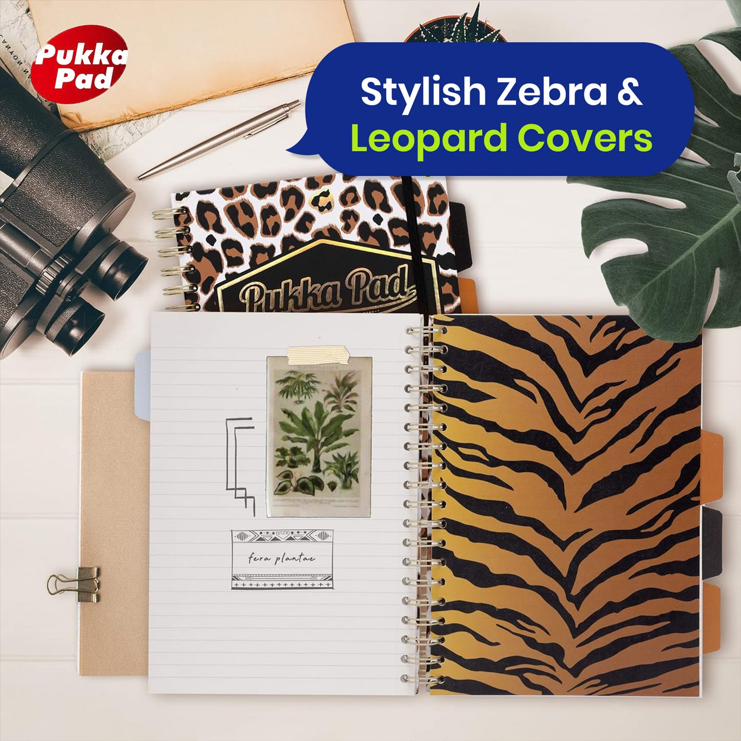 Pukka Pad Wild B5 Project Notebooks – 4 Repositionable Dividers & Hard Cover 2 Pack  NoteBooks For Projects