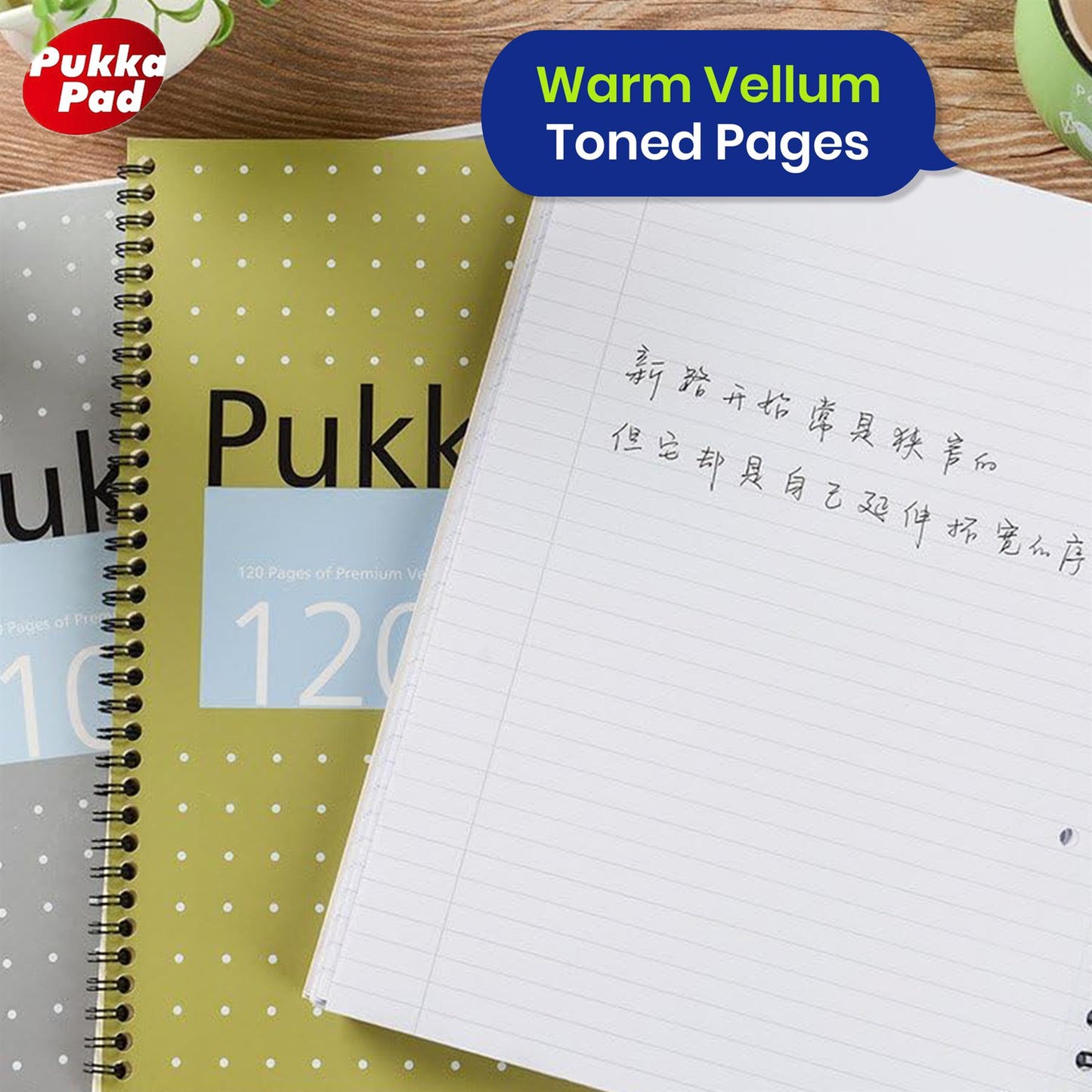 Pukka Pad A4 Notebook – 120 Vellum Pages Spiral Notepad, Writing Pad For Businessmen (Pack of 1)