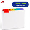 Pukka Pad Flash Cards Colour-Coded Tabs Study Cards 24  Reinforced Tabs Index Dividers for Filing Recipes Contacts Study Notes