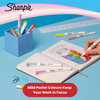 Sharpie S Note Duo Twin Tip Asst PK16