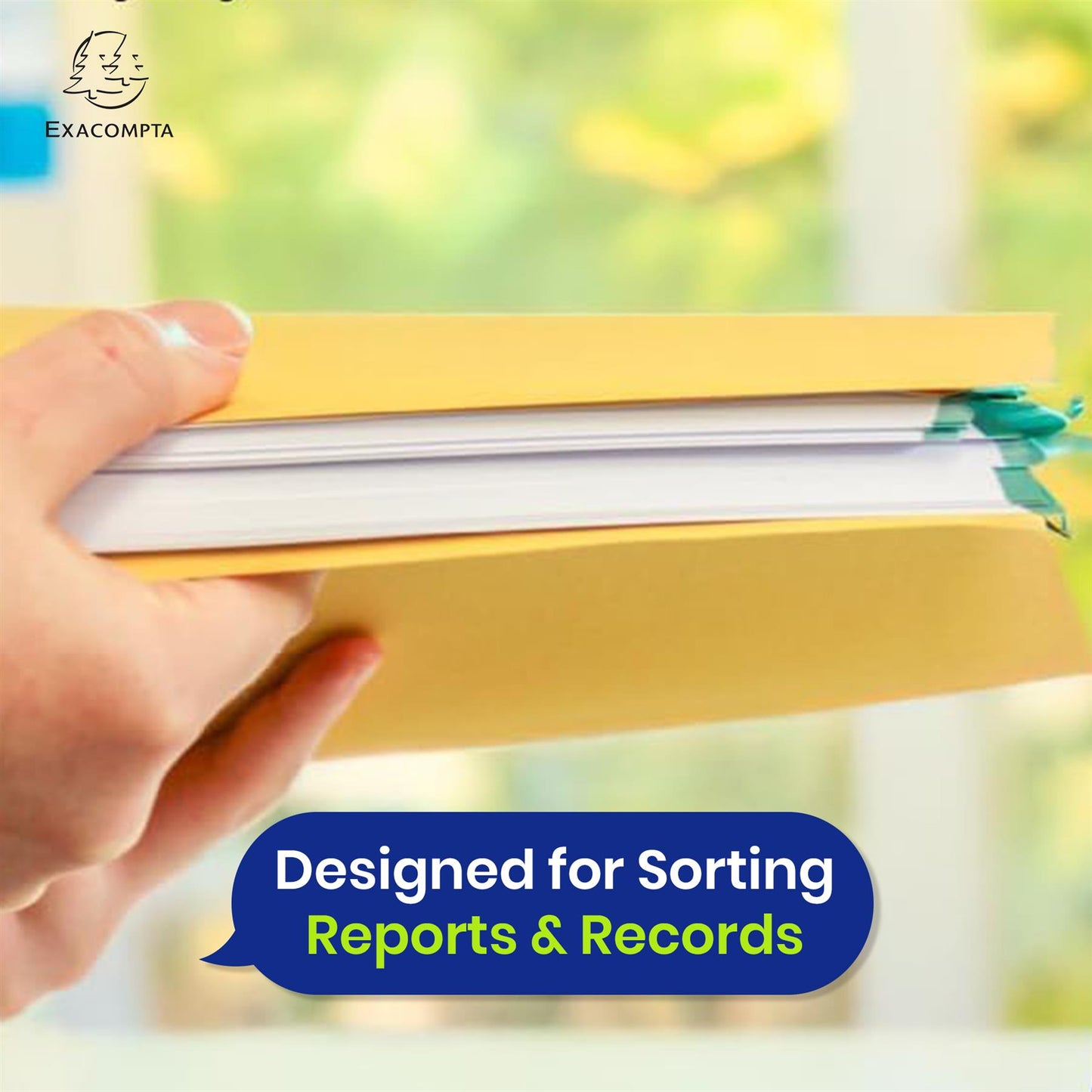 Exacompta Square Cut Folder Strong, 315gsm Manilla Holds A4 Foolscap Documents, Pack of 100 (Yellow)