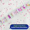 Birthday Girl Recyclable Paper Banner - 2.6m