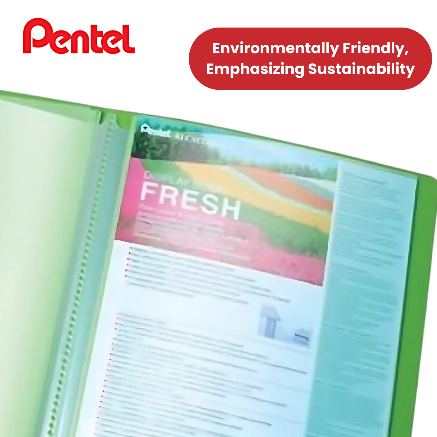 PENTEL RECYC FRESH FILES ASST - Pack of 4 - 1 to 5 Packs