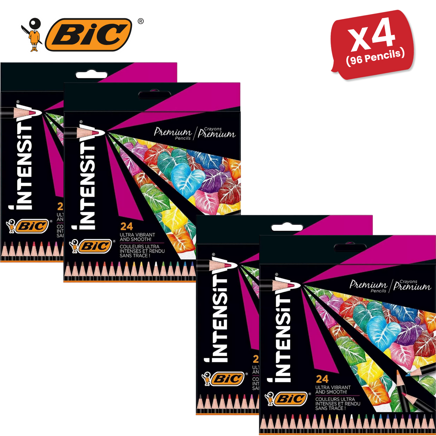 BIC Intensity Colouring Pencils In Premium Cardboard Case Suitable for Adults 24