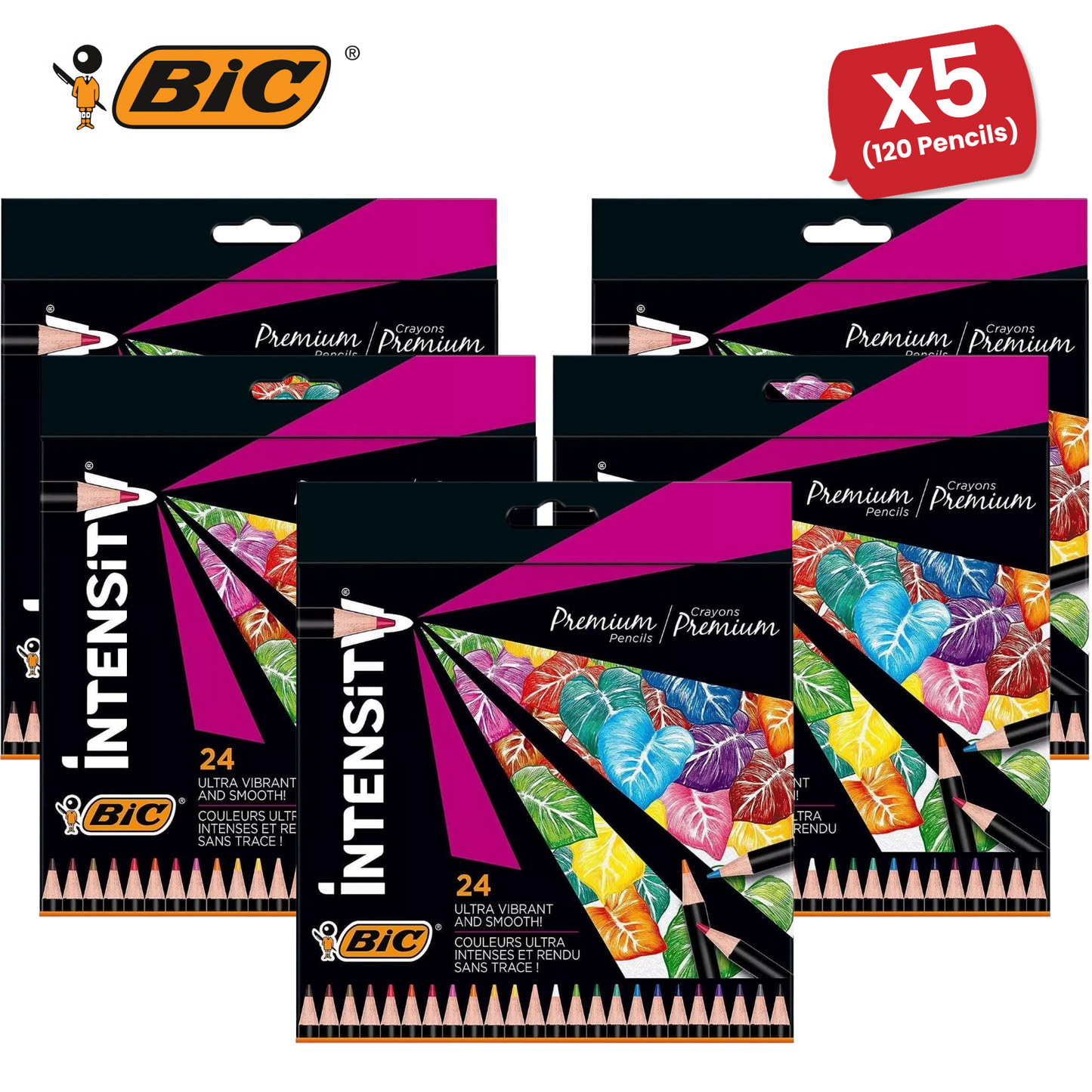 BIC Intensity Colouring Pencils In Premium Cardboard Case Suitable for Adults 24