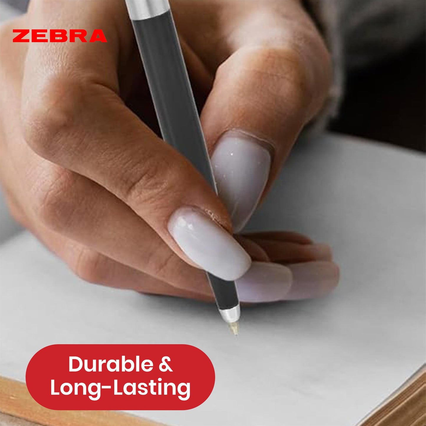 Zebra Ballpoint, Stainless Steel Retractable Pen Refillable Fine Point Biro for Presentation, Meeting & Assignments