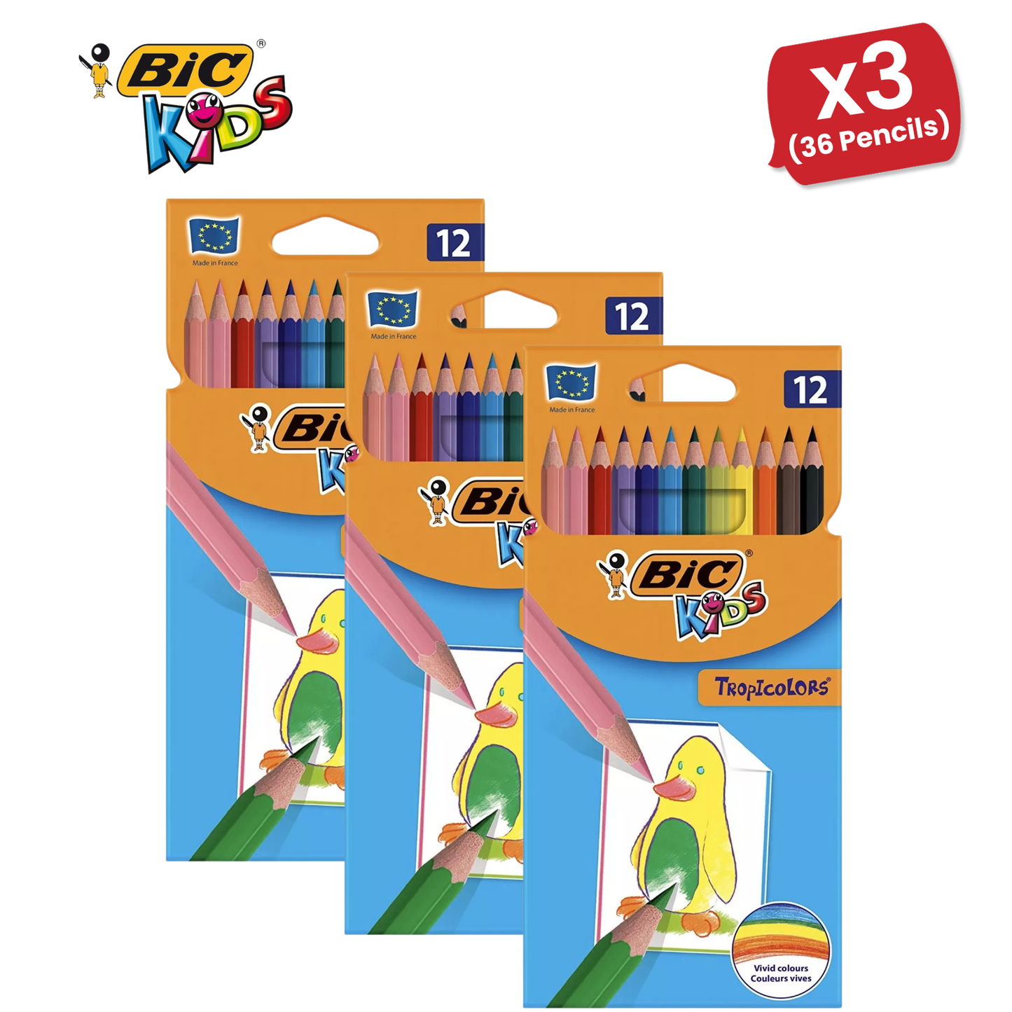 BIC Kids Tropicolors Colouring Pencils, Vibrant Colors - Creative Fun Pack of 12
