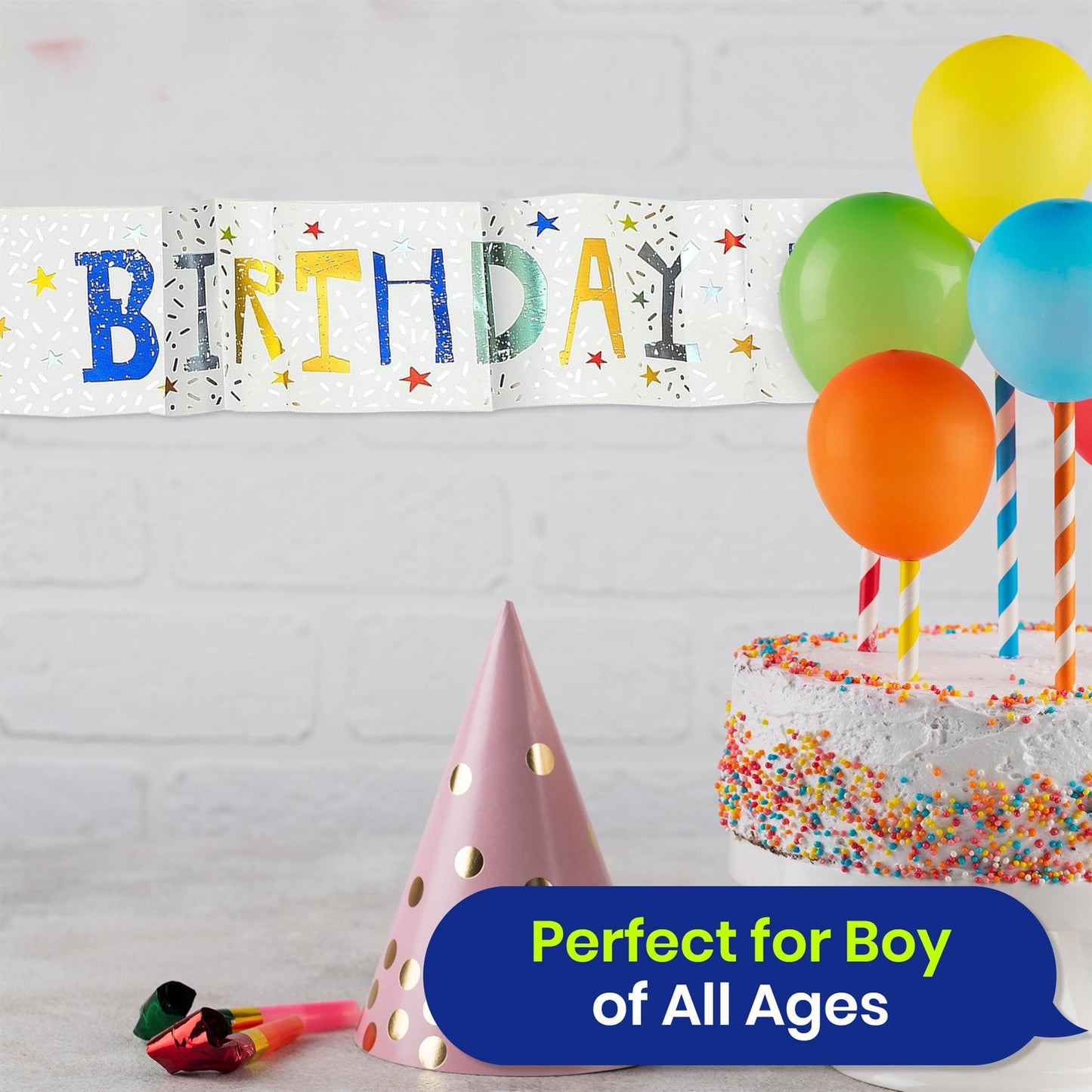 Birthday Boy Recyclable Paper Banner - 2.6m