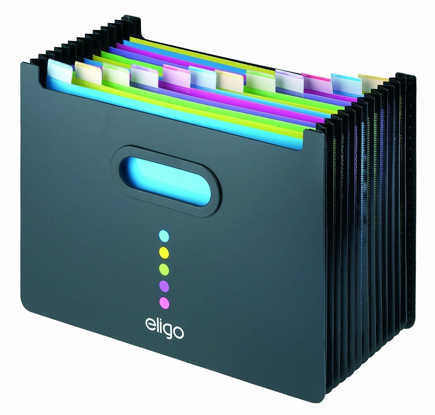 Snopake Eligo 13 Part Desk Expander Landscape - Pack of 1 - 1 to 5 Pac ...