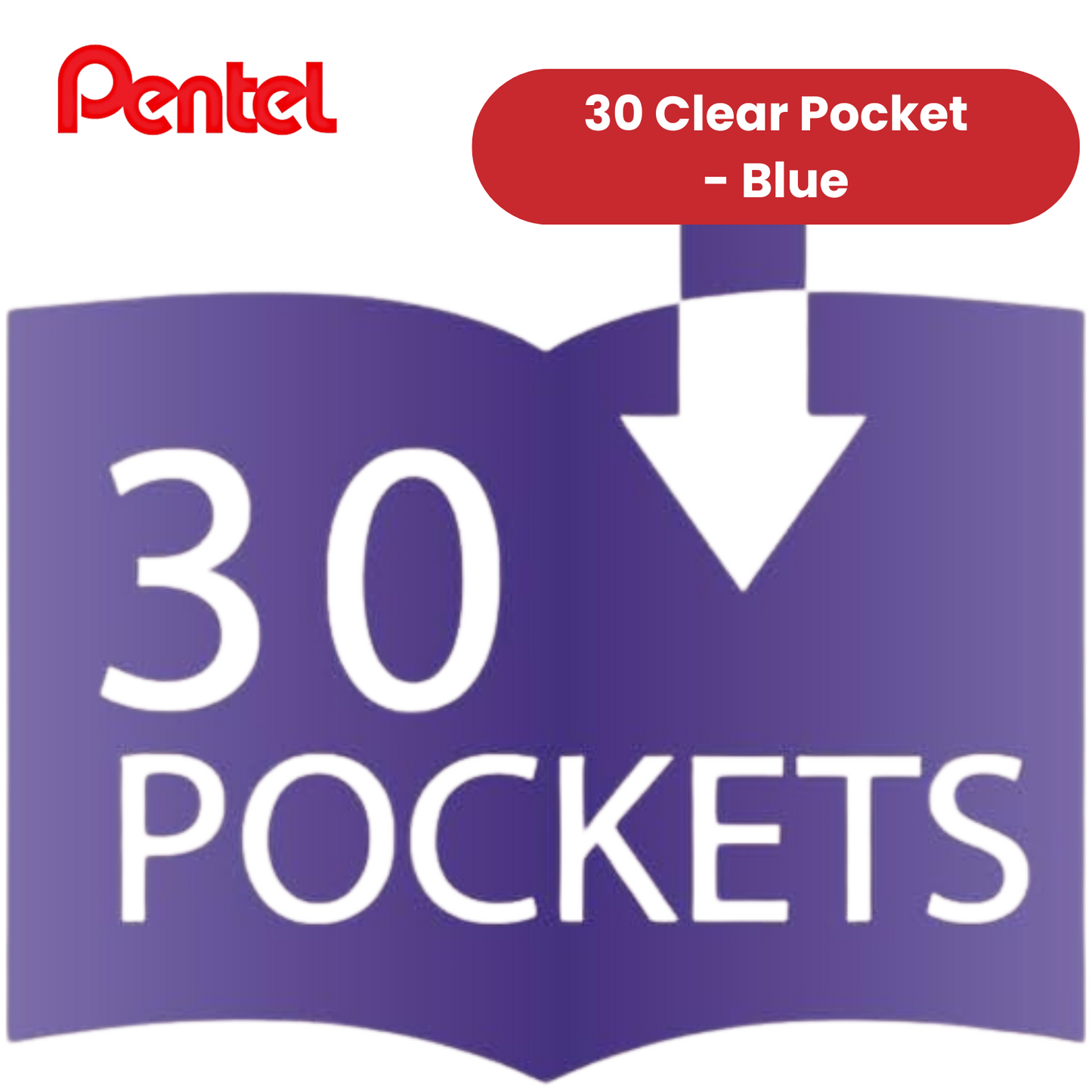 PENTEL RECY A4 DISP BK CLR 30PKT BLUE - Pack of 1