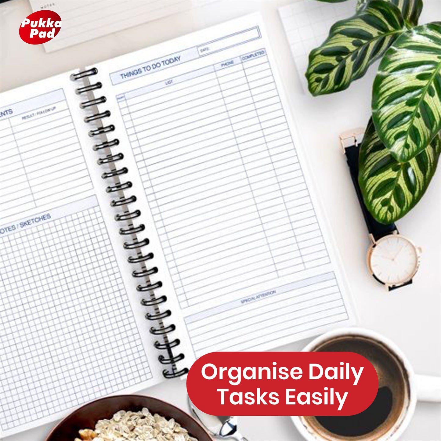 Pukka Pad Things To Do Today - Single -1 to 30 Packs