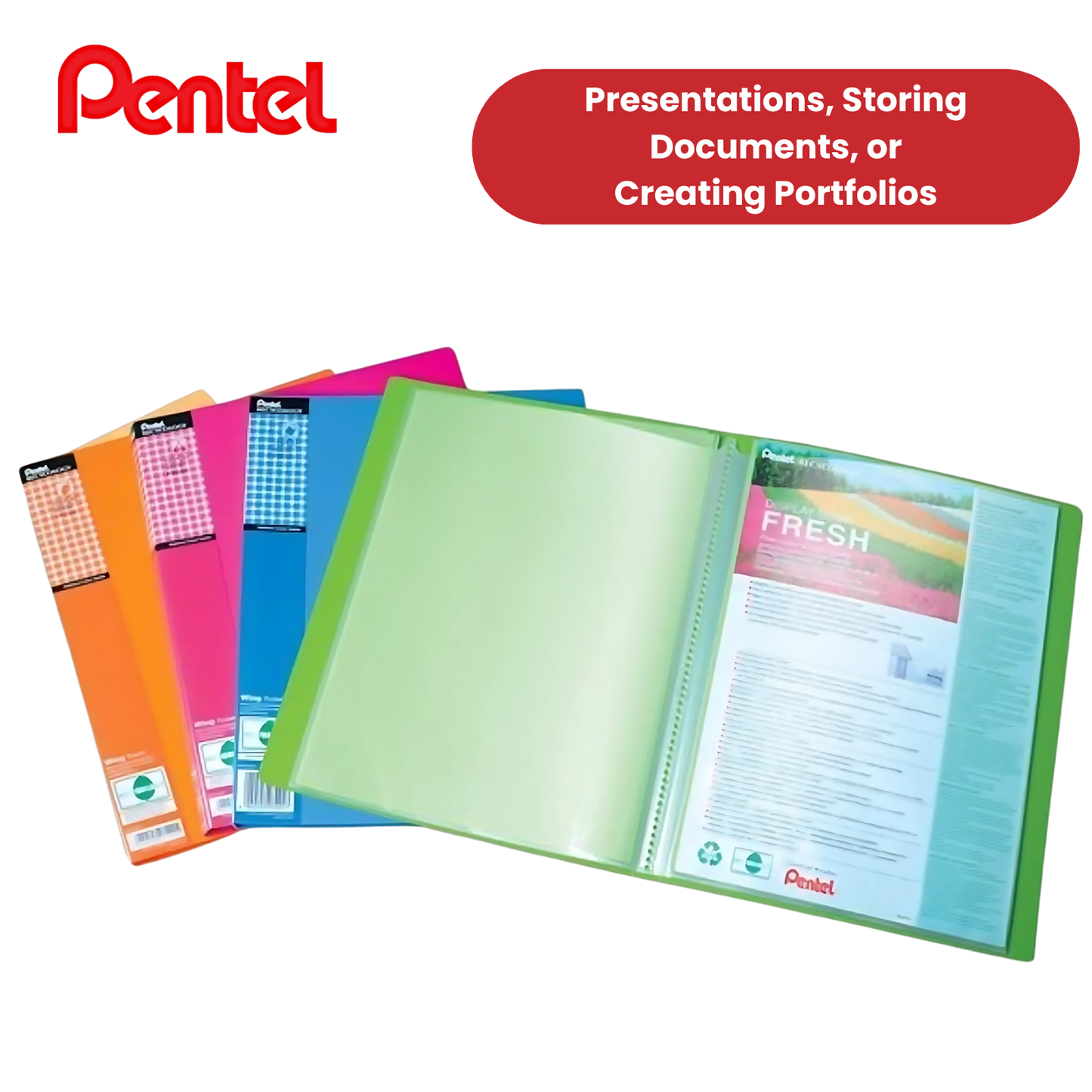 PENTEL RECYC FRESH FILES ASST - Pack of 4 - 1 to 5 Packs