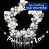 Prosecco Bunting 1.5m Silver Glitter Banner Prosecco Party Decoration for Events