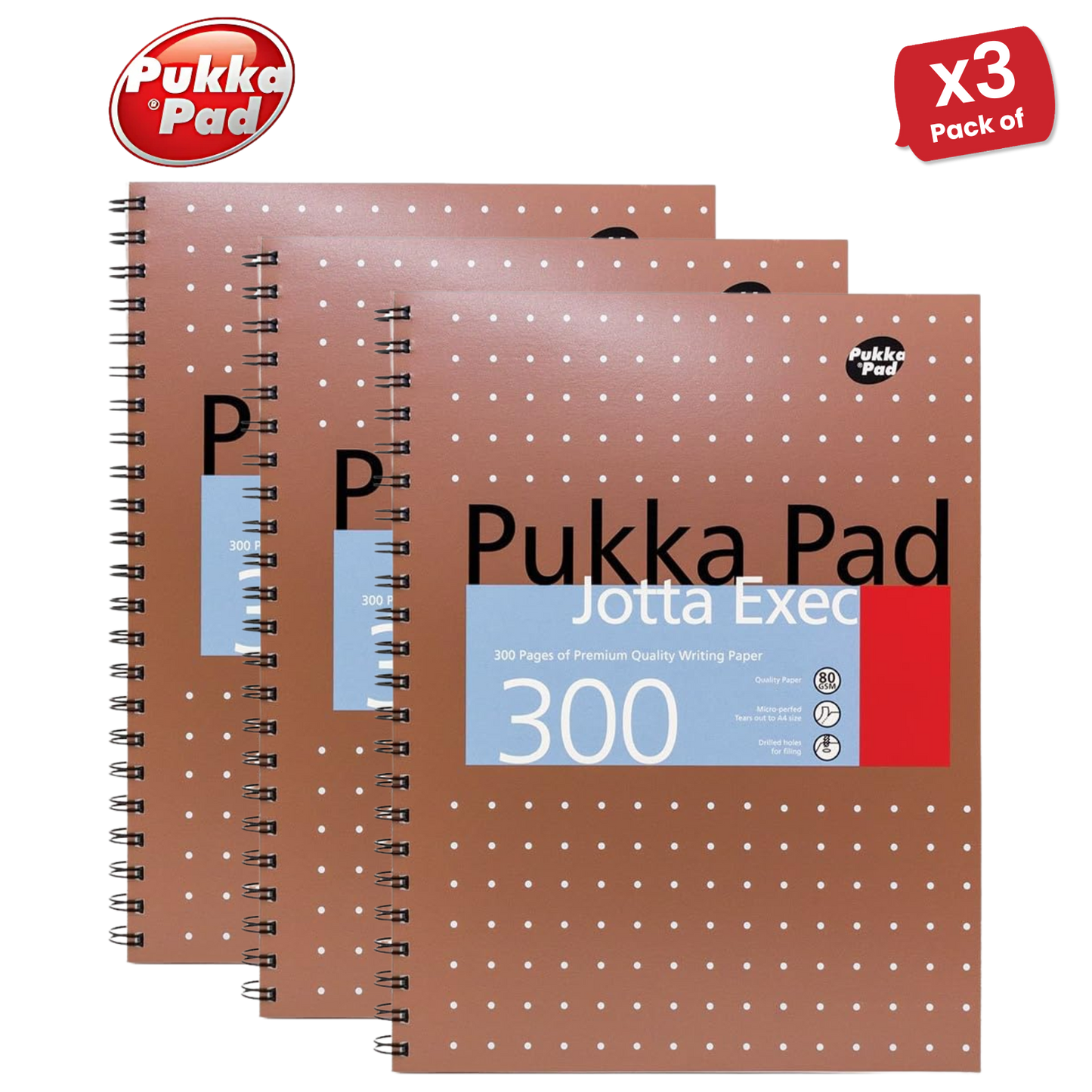 Pukka A4 300 page Metallic jotta - Lined Pack of 1