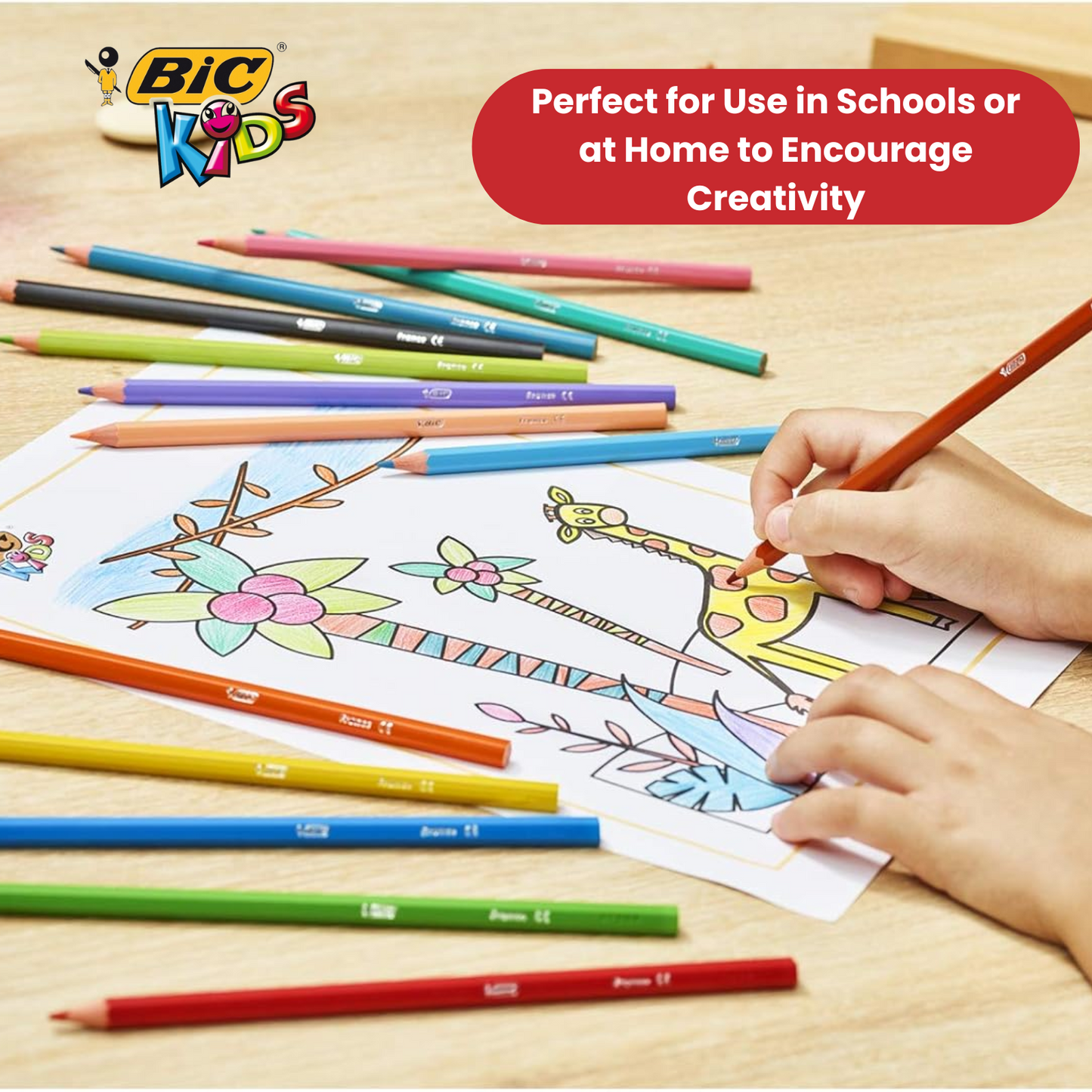 BIC Kids Tropicolors Colouring Pencils, Vibrant Colors - Creative Fun Pack of 12
