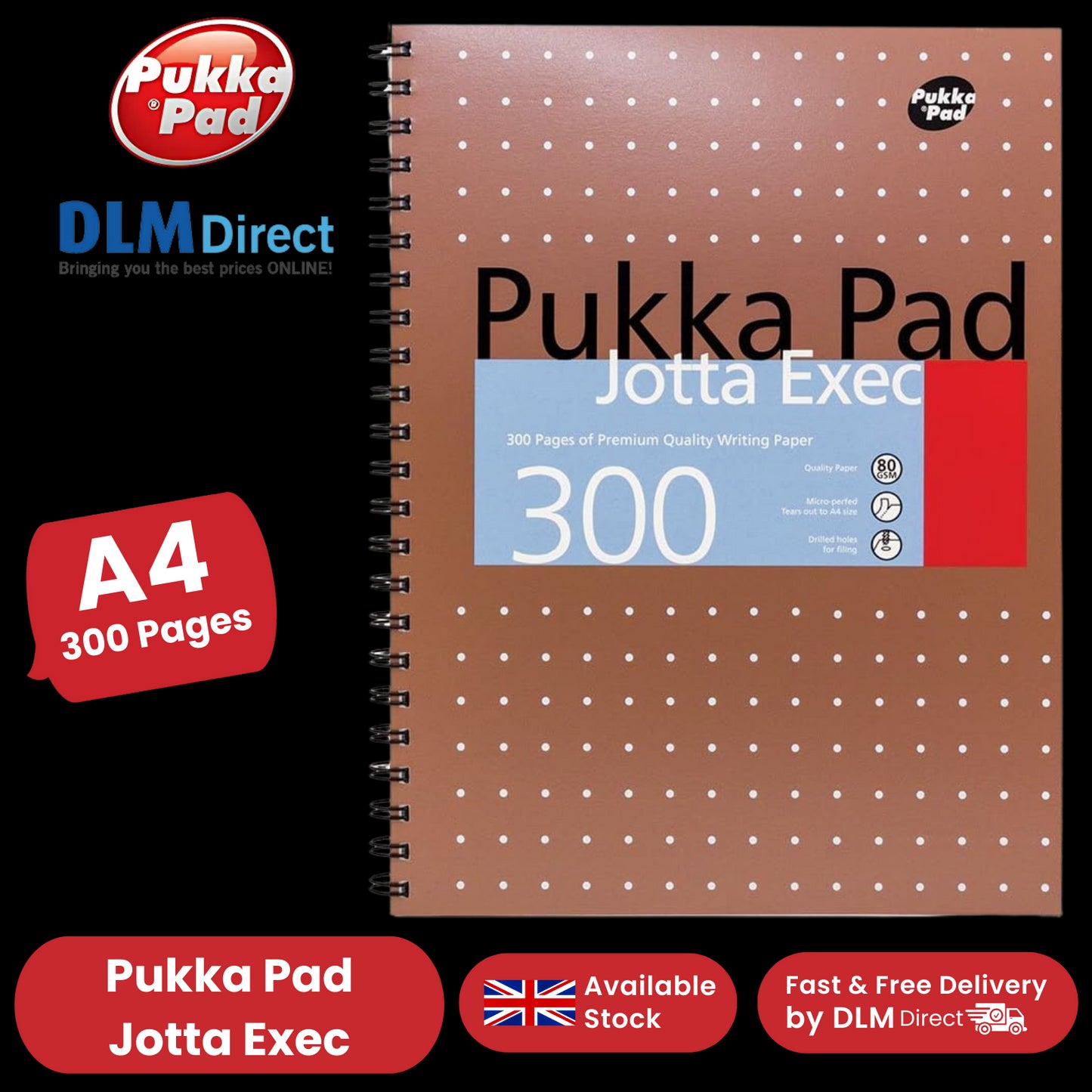 Pukka A4 300 page Metallic jotta - Lined Pack of 1