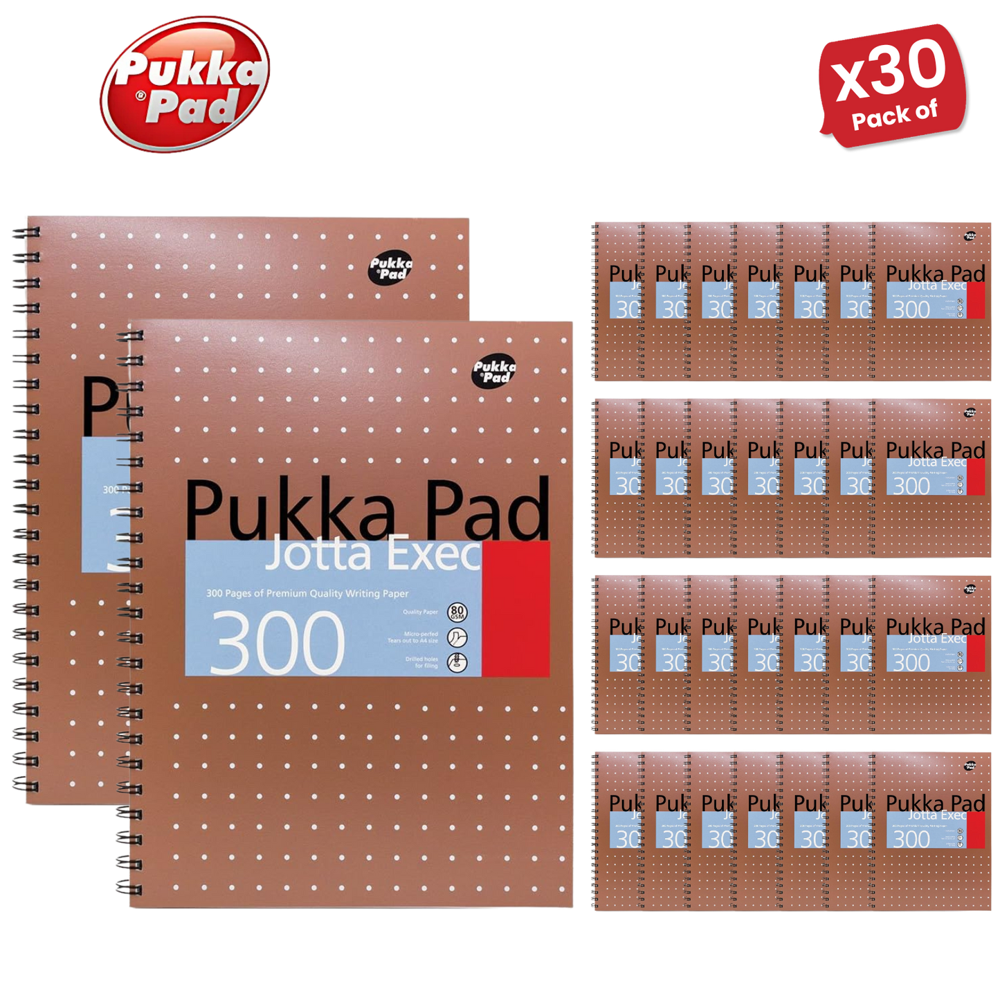 Pukka A4 300 page Metallic jotta - Lined Pack of 1