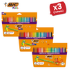 BIC Kids Felt Tip Pens with Medium Blocked Tip 24 Colours