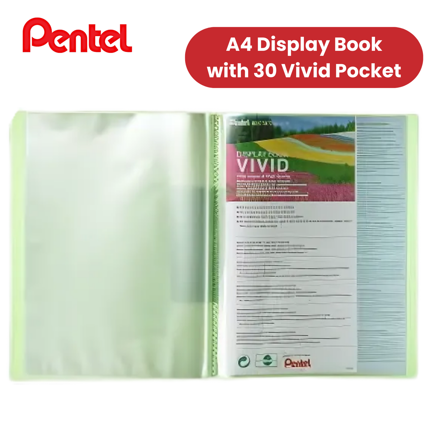 PENTEL RECY DISP BK VIVID 30PKT GREEN - Pack of 1