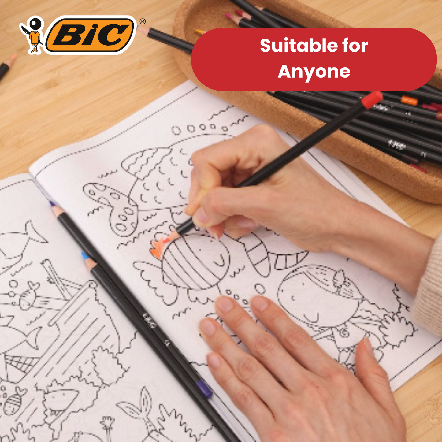 BIC Intensity Colouring Pencils In Premium Cardboard Case Suitable for Adults 24